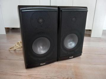 2 luidsprekers boxen Magnat Quantum 503 met kabels beschikbaar voor biedingen