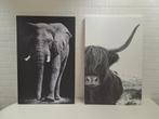 Canvas Prints - Olifant & Buffel, Ophalen, 75 cm of meer, 50 tot 75 cm, Print