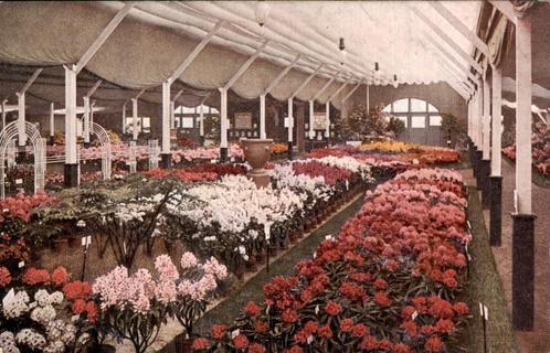 boskoop ., Verzamelen, Ansichtkaarten | Nederland, Gelopen, Zuid-Holland, Voor 1920, Verzenden