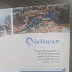 Toegangsticket Dolfinarium, Tickets en Kaartjes, Eén persoon