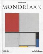 Susanne Deicher Piet Mondriaan, Ophalen of Verzenden, Zo goed als nieuw, Schilder- en Tekenkunst