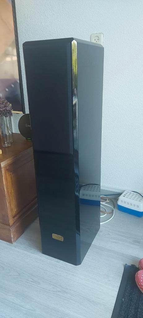 Zelfbouw procus intus luidsprekers, Audio, Tv en Foto, Luidsprekers, Zo goed als nieuw, Front, Rear of Stereo speakers, 120 watt of meer