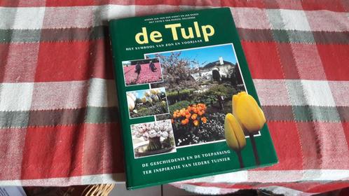 tulp Lisse Keukenhof voorjaar bloembol, Boeken, Wonen en Tuinieren, Zo goed als nieuw, Ophalen of Verzenden