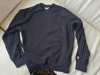 CARHARTT trui maat S, Kleding | Dames, Maat 38/40 (M), Zwart, Ophalen of Verzenden, Zo goed als nieuw