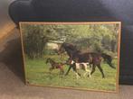 Sierpuzzel paard, Antiek en Kunst, Kunst | Schilderijen | Klassiek, Ophalen