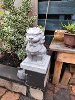 Foo Dog Tuinbeeld, Ophalen of Verzenden, Nieuw, Dierenbeeld