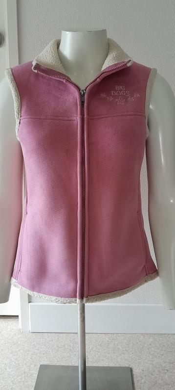 Roze Big Dogs Bodywarmer Maat S beschikbaar voor biedingen