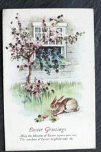 Zoveel gelukwensen en een konijn, Pasen kan niet mislukken, Verzamelen, Ansichtkaarten | Dieren, Ongelopen, Knaagdier, Voor 1920