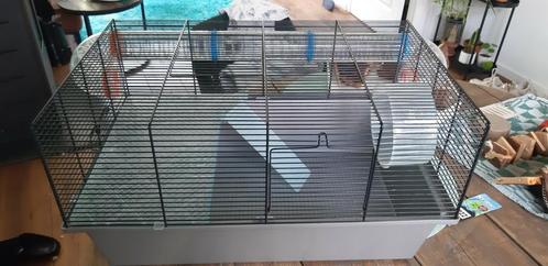 Hamsterkooi met toe behoren Ferplast, Dieren en Toebehoren, Knaagdieren en Konijnen | Hokken en Kooien, Zo goed als nieuw, Kooi