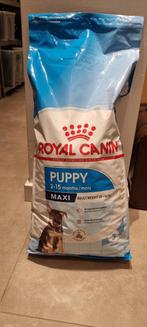Royal Canin hondenvoer, Dieren en Toebehoren, Dierenvoeding, Hond, Ophalen