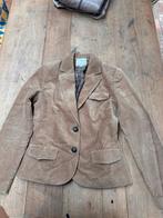Cane & Cane Blazer Maat 36, Bruin, Ophalen of Verzenden, Jasje, Maat 36 (S)