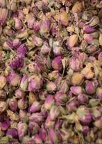 Rozenbladeren, Ophalen of Verzenden, Volle zon