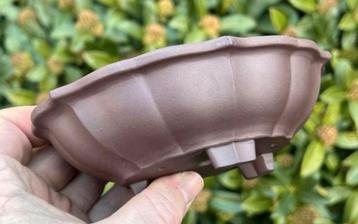 Bonsai schaal Lotus bruin ongeglazuurd gemerkt 16x11,5x4,9 beschikbaar voor biedingen