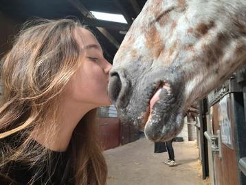 Verzorgpony gezocht / bijrijder aangeboden  beschikbaar voor biedingen