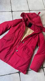 Airforce Damesjas Rood Maat M - Authentiek!, Ophalen of Verzenden, Zo goed als nieuw, Maat 38/40 (M), Rood