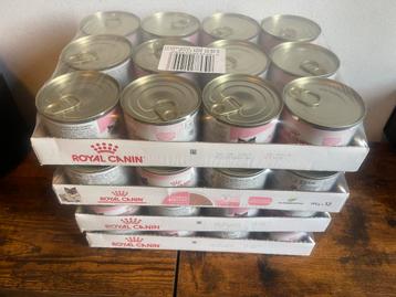 Royal Canin Mother & Babycat Mouse - tray beschikbaar voor biedingen