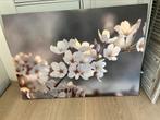 Canvas kersenbloesem, Ophalen of Verzenden, Zo goed als nieuw, Print, 50 tot 75 cm