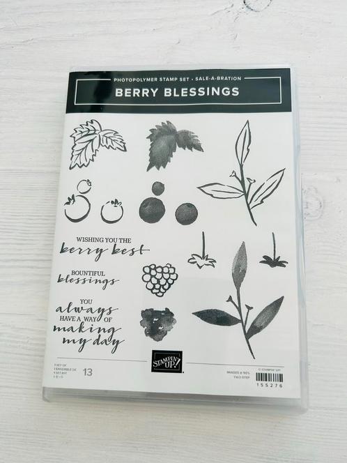 𝐁𝐄𝐑𝐑𝐘 𝐁𝐋𝐄𝐒𝐒𝐈𝐍𝐆𝐒 Stampin’Up! *NIEUW*, Hobby en Vrije tijd, Stempelen, Nieuw, Verzenden