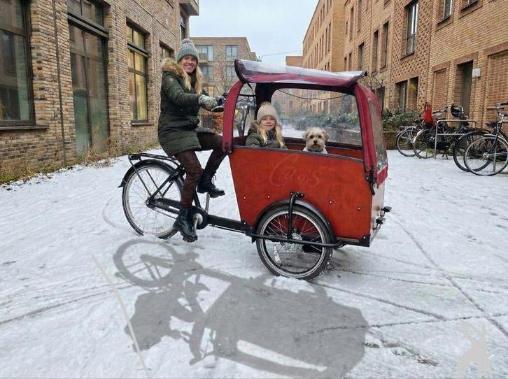 Niet elektrische Babboe Big bakfiets met certificaat, Fietsen en Brommers, Fietsen | Bakfietsen, Gebruikt, Fietsfabriek, 1 kind
