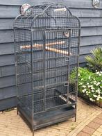 Grote kooi, Dieren en Toebehoren, Ophalen, Zo goed als nieuw, Metaal, Vogelkooi