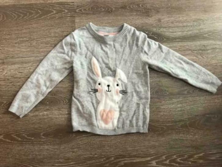 trui met konijn in maat 116, Kinderen en Baby's, Kinderkleding | Maat 116, Gebruikt, Meisje, Trui of Vest, Ophalen