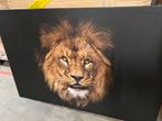 Canvas leeuw xl €15,-afhaal, Ophalen, Nieuw