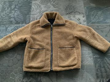Teddyjas maat xl beschikbaar voor biedingen