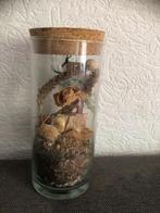 Droogbloemen in glazen pot met kurk deksel, Ophalen of Verzenden, Zo goed als nieuw