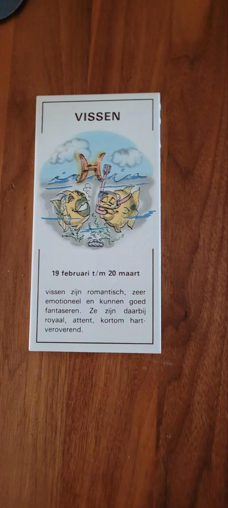 Vissen - Spirituele tegel, Antiek en Kunst, Antiek | Wandborden en Tegels, Ophalen of Verzenden