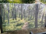 Windscherm uittrekbaar, Tuin en Terras, Ophalen, Gebruikt, Aluminium, 200 cm of meer