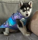 Hondenjas voor kleine hondjes of puppy’s, Dieren en Toebehoren, Ophalen of Verzenden, Nieuw, Hondenjas