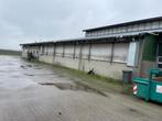 Ligboxenstal, Melkveestal, Stal, Schuur, Staalcontructie, Ophalen