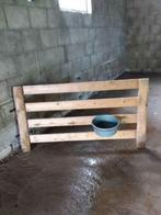 Stalinrichting schapen, Vrouwelijk, Schaap