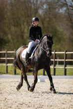 !!box vrij!! Beleren / training pony & paard, Dieren en Toebehoren, Ophalen of Verzenden, Nieuw, Dressuur