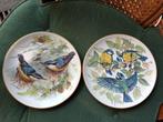 Vintage wandbordjes vogels, Antiek en Kunst, Ophalen of Verzenden