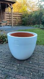 Bloempot wit diameter 55cm, Tuin en Terras, Bloempotten, Ophalen, Overige materialen, 40 cm of meer, Rond