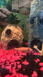 Algeneter, 0 tot 2 jaar