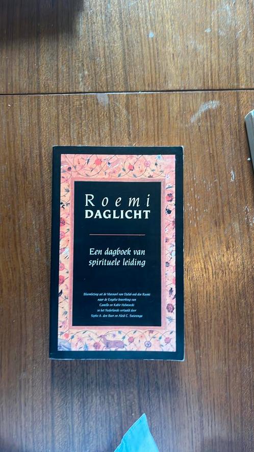 Roemi - Daglicht, Boeken, Filosofie, Zo goed als nieuw, Ophalen of Verzenden