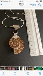 Eeuwenoude ammoniet met onyz of tijgeroog met ketting, Verzenden, Nieuw, Steen of Mineraal
