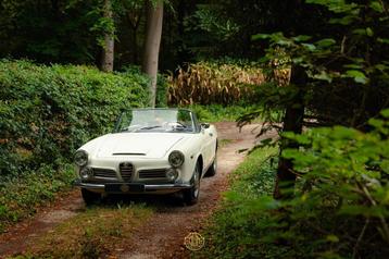 Alfa romeo 2600 spider beschikbaar voor biedingen