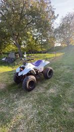 Aeon cobra 100 cc 2 takt, Ophalen of Verzenden, Gebruikt, Kart