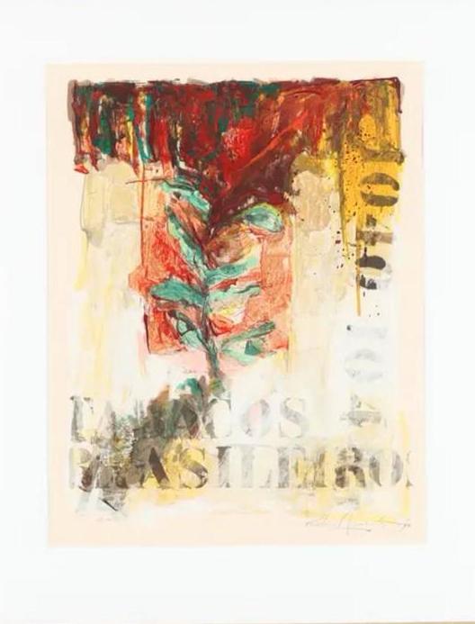 Richard Smeets zeefdruk Tabacos Brasileros, Antiek en Kunst, Kunst | Schilderijen | Modern, Ophalen of Verzenden