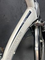 Batavus Padova Easy Limited - Accu defect, Ophalen, Versnellingen, Batavus, 53 tot 56 cm