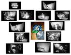 8mm film - Snowfire - 1958 -70mtr - zw/w - geluid -, Audio, Tv en Foto, Filmrollen, Verzenden, 16mm film