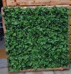 Kunsthaag, Ophalen, Zo goed als nieuw