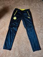 Puma BVB Dortmund heren sportbroek, Maat 48/50 (M), Zwart, Nieuw, Ophalen of Verzenden