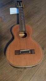 Vintage Viator VTR800PB-12 Paul Brett 12-String Gitaar, Ophalen of Verzenden, Nieuw, Western- of Steelstringgitaar