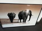 MondiArt foto van olifanten nieuw in verpakking, Nieuw, Foto of Poster, 100 tot 125 cm, Oorspronkelijke maker