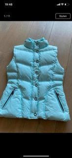 Street one M 40 nieuwstaat, Kleding | Dames, Bodywarmers, Maat 38/40 (M), Blauw, Street One, Ophalen of Verzenden