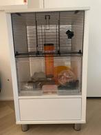 Kooi hamster / dwerghamster met accesoires, Dieren en Toebehoren, Knaagdieren en Konijnen | Hokken en Kooien, Ophalen, Kooi, 60 tot 90 cm